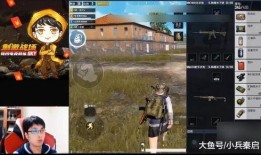 壮哥爆料吃鸡视频大全集,精彩瞬间回顾